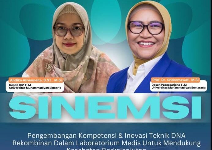 SINEMSI