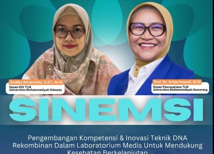 SINEMSI